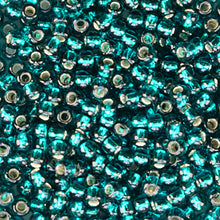 Load image into Gallery viewer, Seed Beads