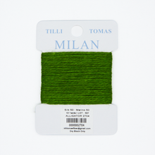 Load image into Gallery viewer, Milan Cards