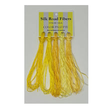 Load image into Gallery viewer, Silk Road Color Palettes