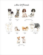 Load image into Gallery viewer, Alice & Friends