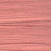 Load image into Gallery viewer, Essentials (501-599)