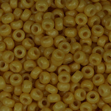 Load image into Gallery viewer, Seed Beads