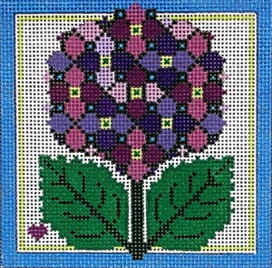 Hydrangea