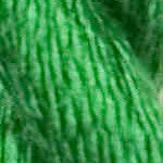 Load image into Gallery viewer, Vineyard Silk (100 - 199)
