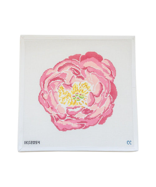 Pink Peony