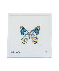 Blue Grey Butterfly
