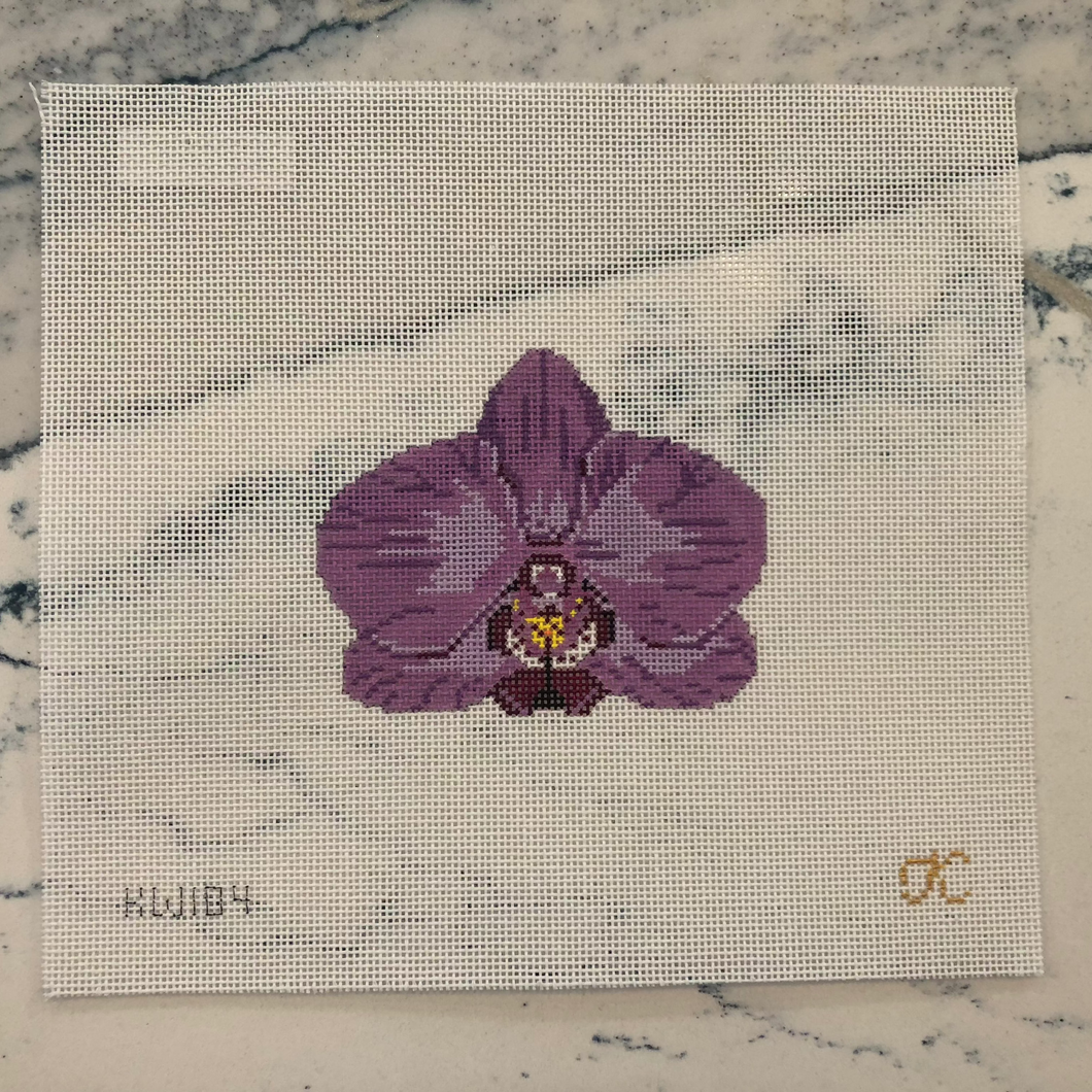 Orchids