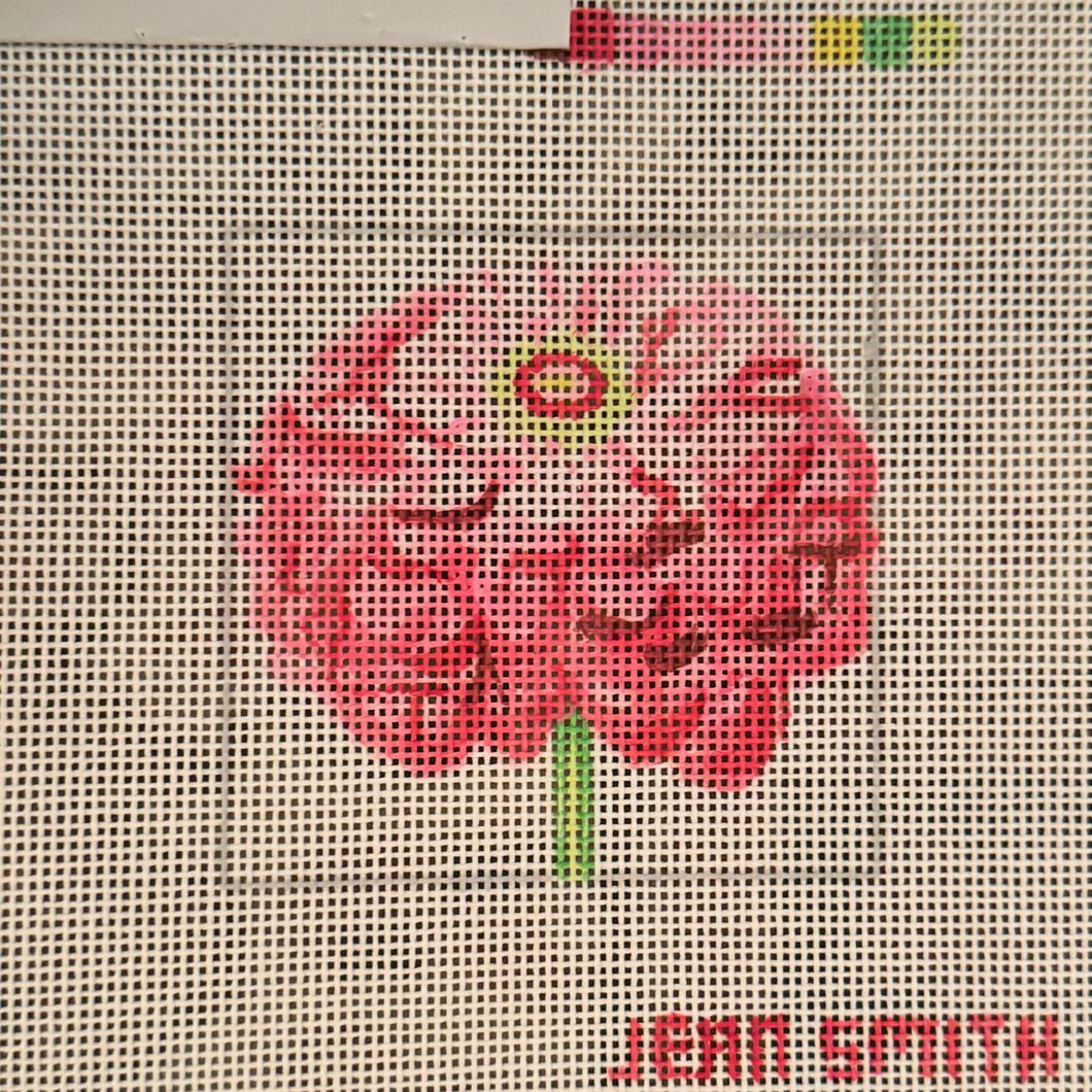Zinnia