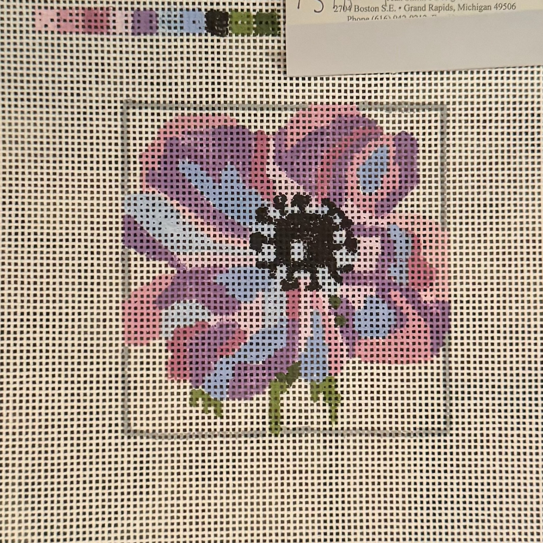 Anemone