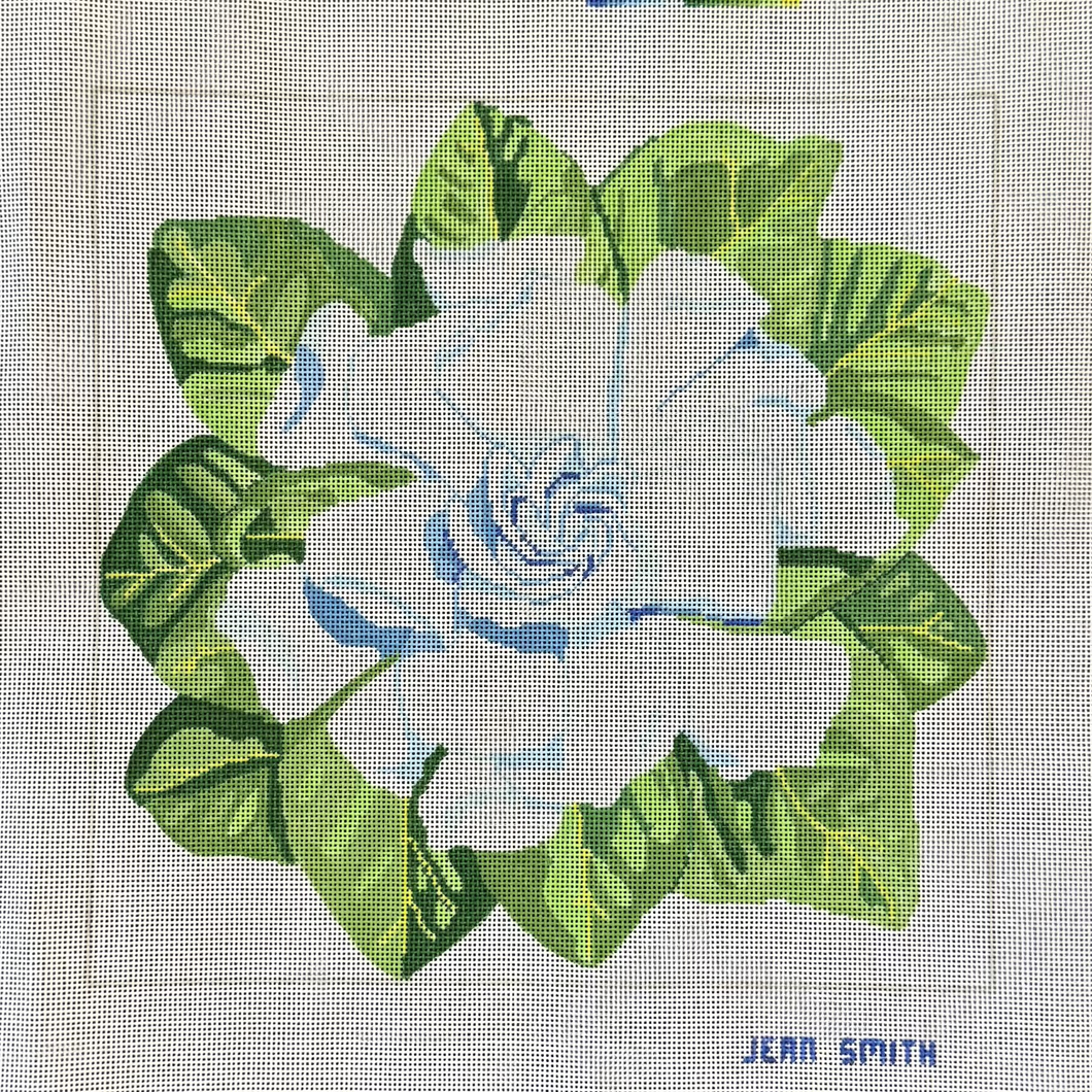 Gardenia