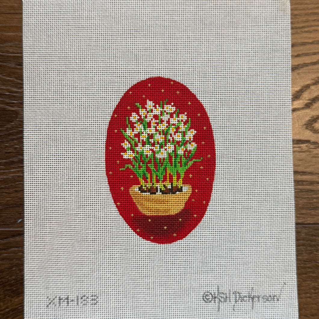 Paperwhites on Red