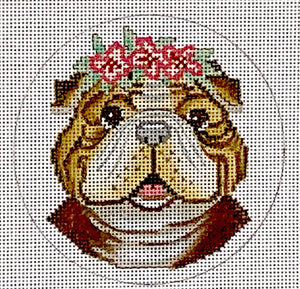 Bulldog