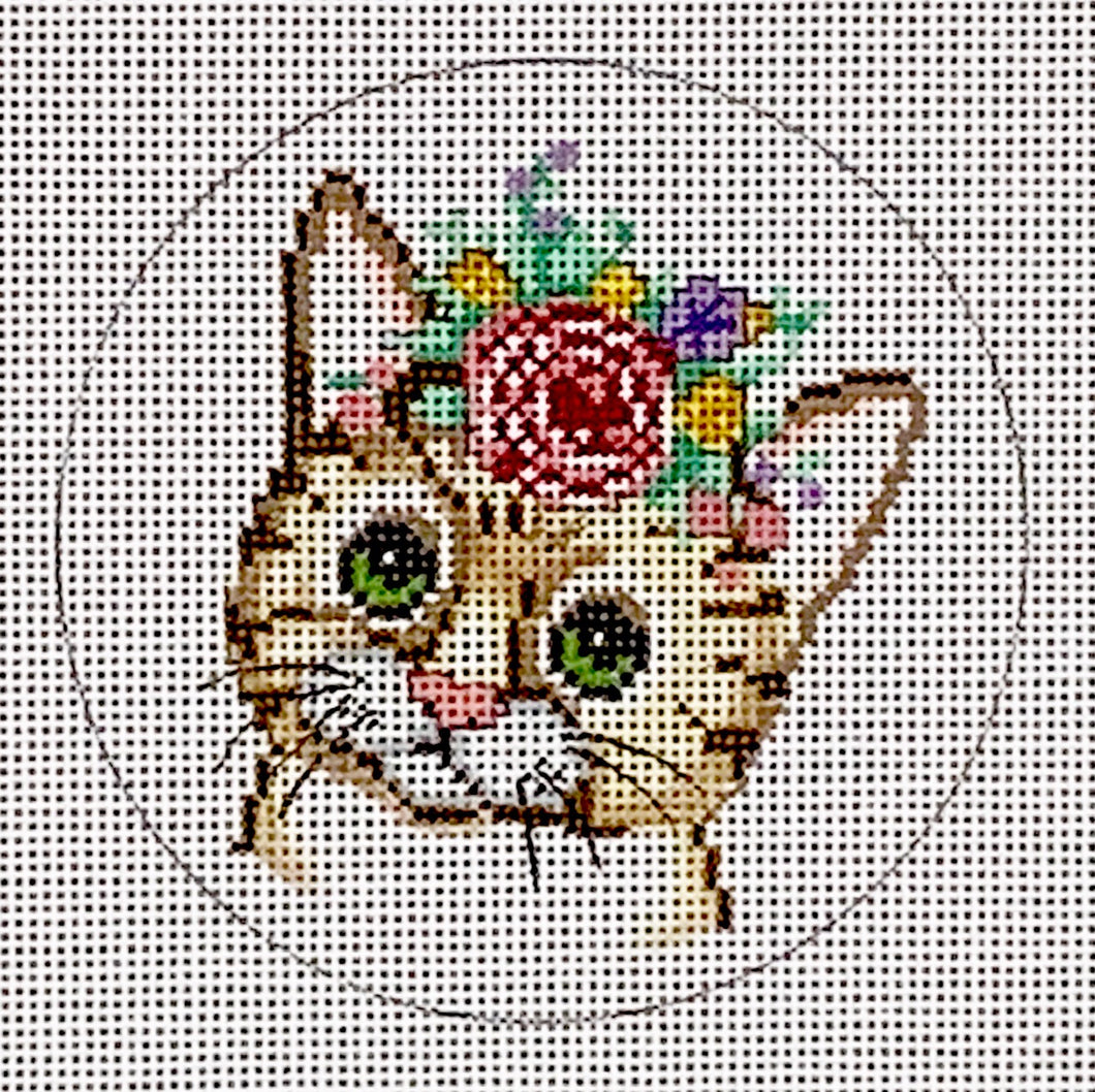 Tabby Cat