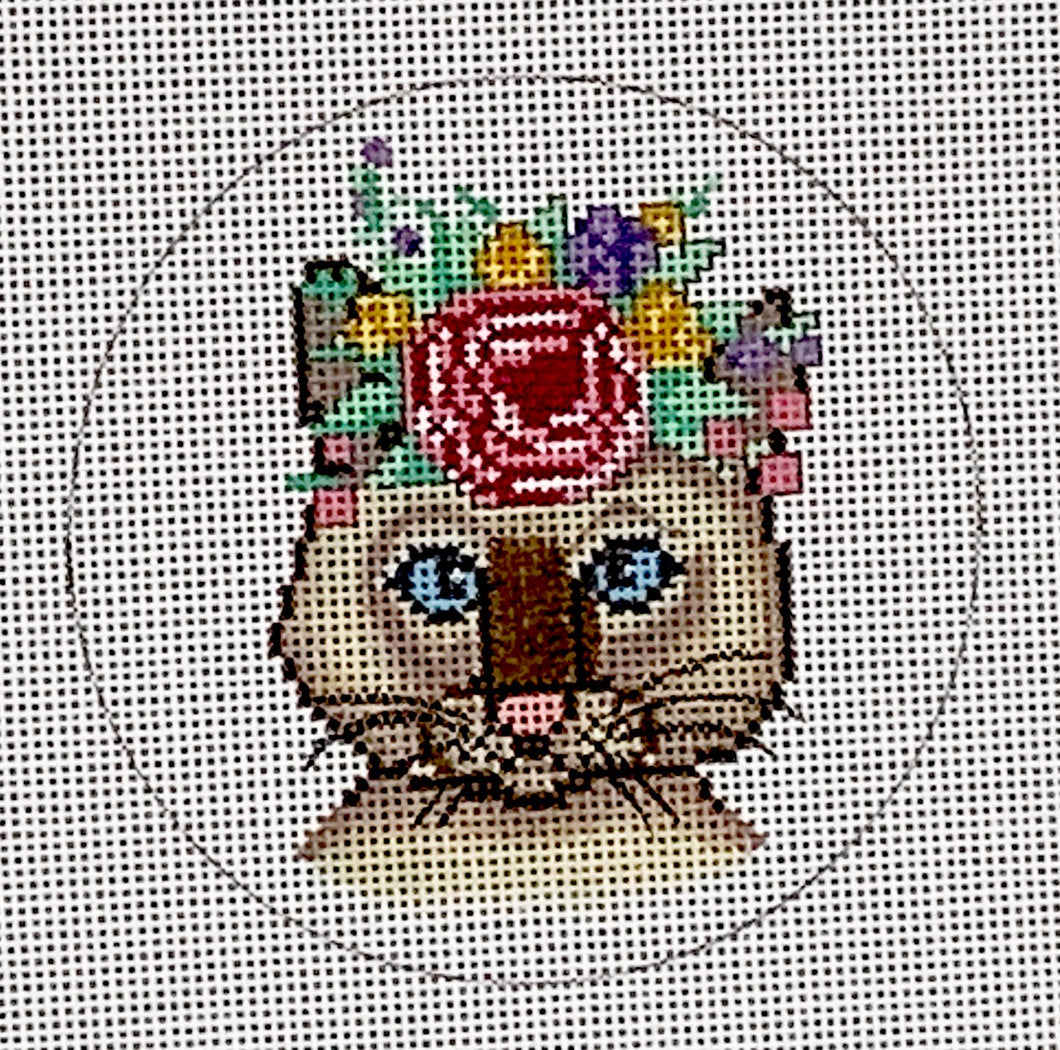 Siamese Cat