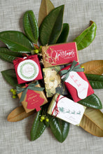 Load image into Gallery viewer, Gift Tag - Holidays T95
