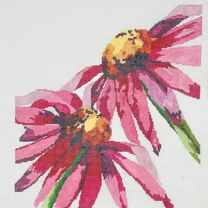 Red Cone Flowers