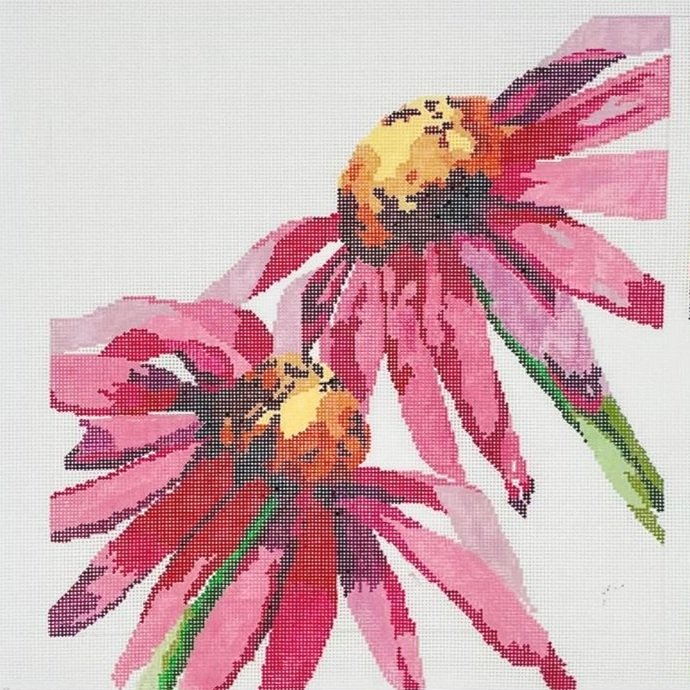 Red Cone Flowers