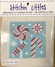Load image into Gallery viewer, Beginner Needlepoint Kits
