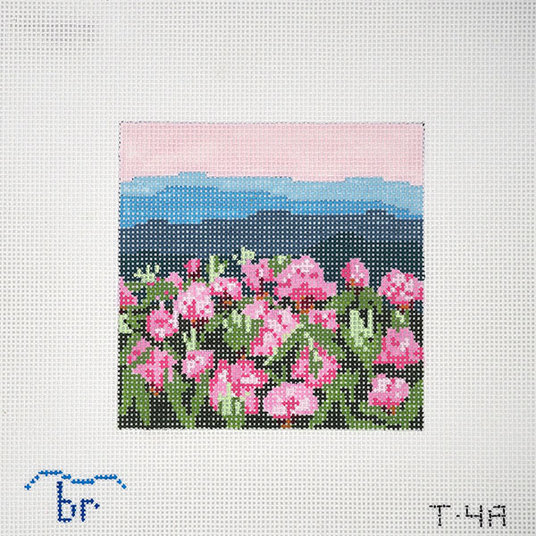 Rhododendron Mountain