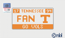 Load image into Gallery viewer, Tennessee Fan License Plate
