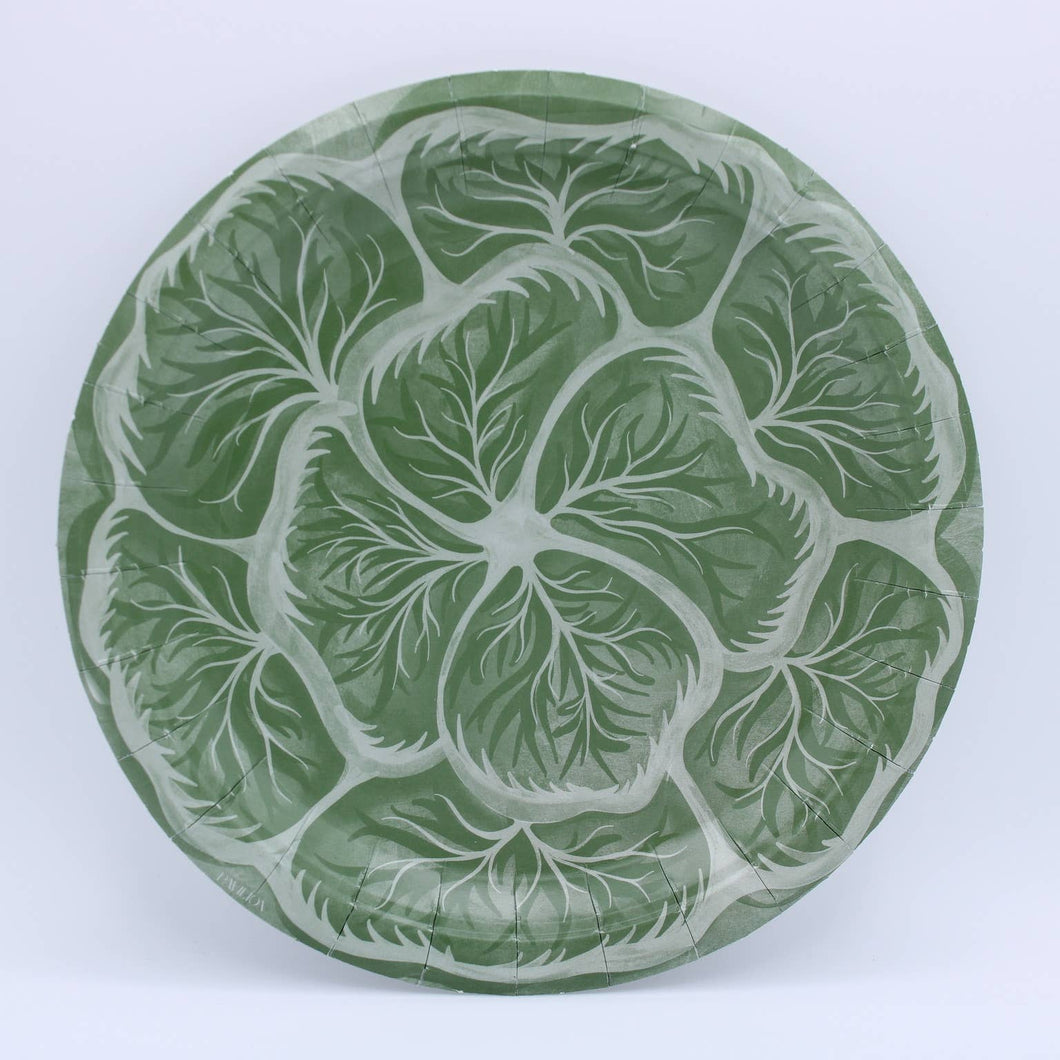 Cabbage Salad Plates