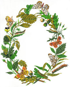 Gift of the Butterfly