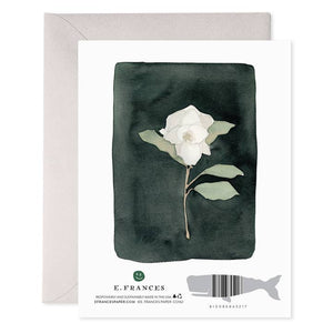 White Flower Sympathy Card