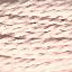Load image into Gallery viewer, Planet Earth 8 Ply Silk (1200 - 1299)
