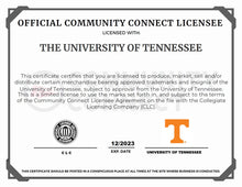Load image into Gallery viewer, Tennessee Football Field
