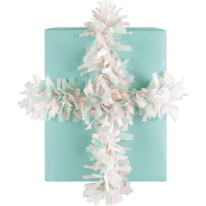 Pastel Affair Tissue Fringe Ribbon