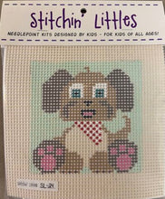 Load image into Gallery viewer, Beginner Needlepoint Kits
