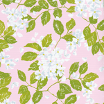 Blanc de Blancs Peony Gift Wrap