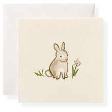 Load image into Gallery viewer, Bebe Gift Enclosures
