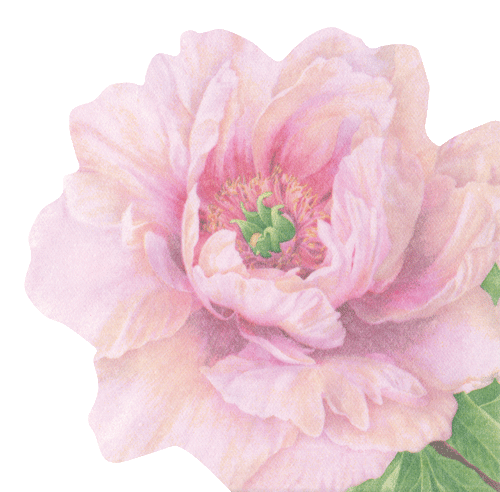 Blush Camellia Die-Cut Napkins