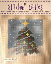 Load image into Gallery viewer, Beginner Needlepoint Kits
