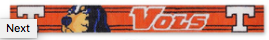 Tennessee Belt Canvas