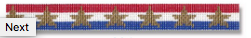 Stars & Stripes Belt Canvas