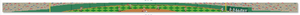 Play Baseball Belt Canvas