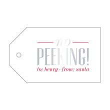 Load image into Gallery viewer, Gift Tag - Christmas T170
