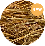 Load image into Gallery viewer, Silk Road Fibers
